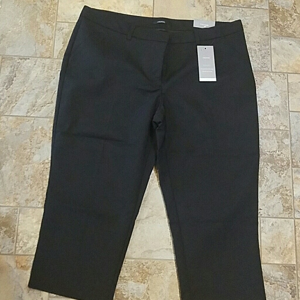 Maurices pants